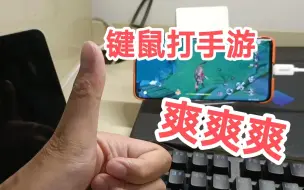 Video herunterladen: 【教程】键鼠玩手游！！常见问题解决方案