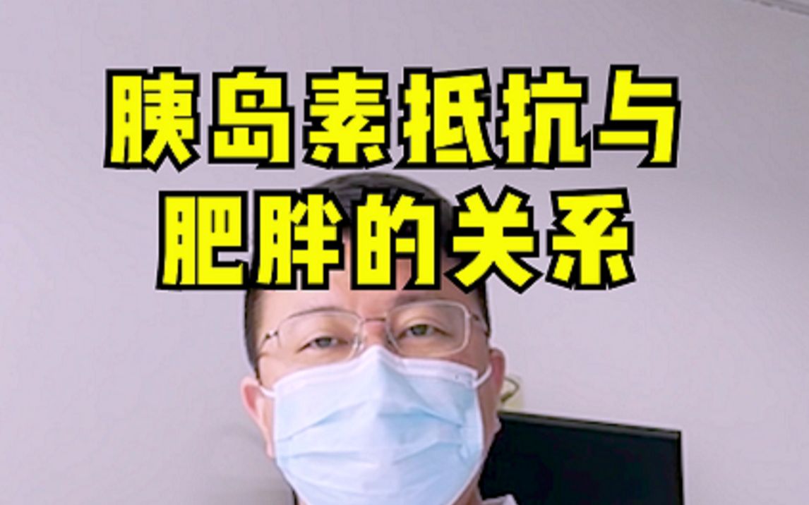 胰岛素抵抗与肥胖的关系