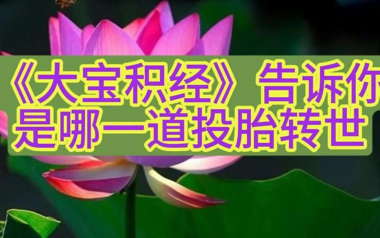 《大宝积经》告诉你是哪一道投胎转世哔哩哔哩bilibili