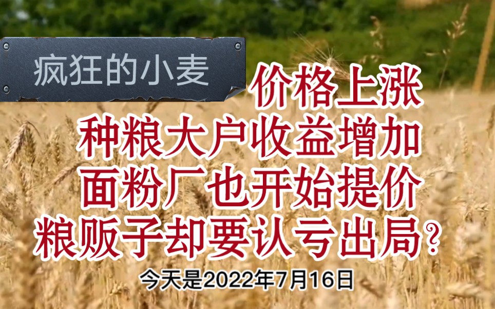 小麦价格上涨让河北种粮大户种粮收益猛增,面粉企业提价,一些囤小麦的贸易商认亏出局哔哩哔哩bilibili