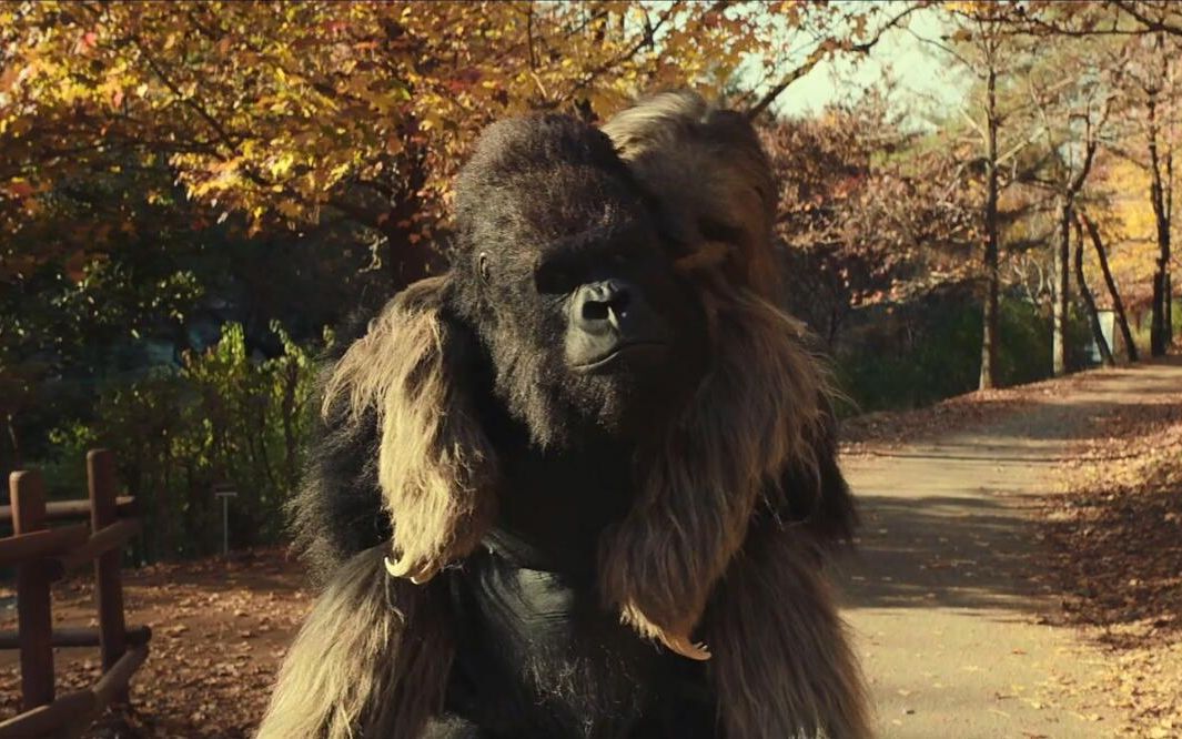 神秘动物园里,大猩猩爱上树懒,一部喜剧电影_哔哩哔哩_bilibili