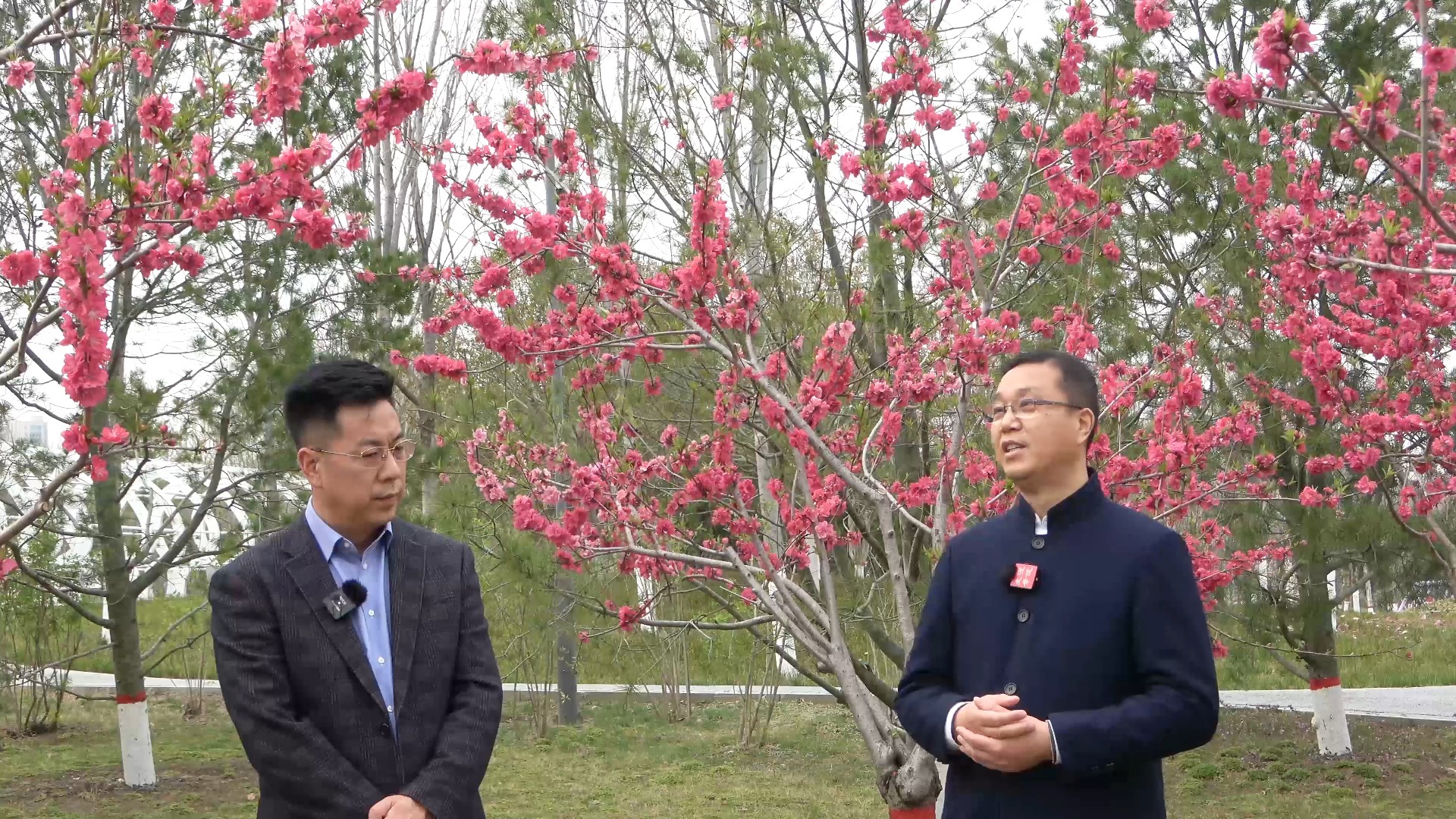 [图]今年清明扫墓要推迟十天吗