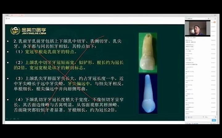 [图]口腔解剖生理学（牙体外形及生理意义04）-赵庆乐