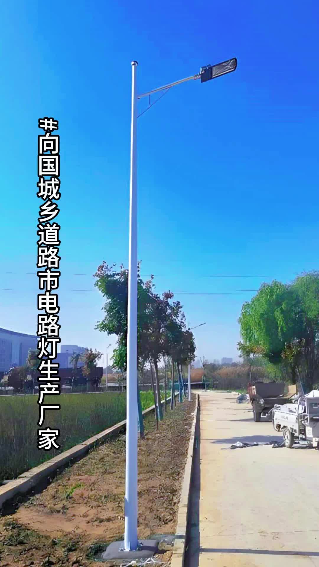 银川路灯杆生产厂家图片