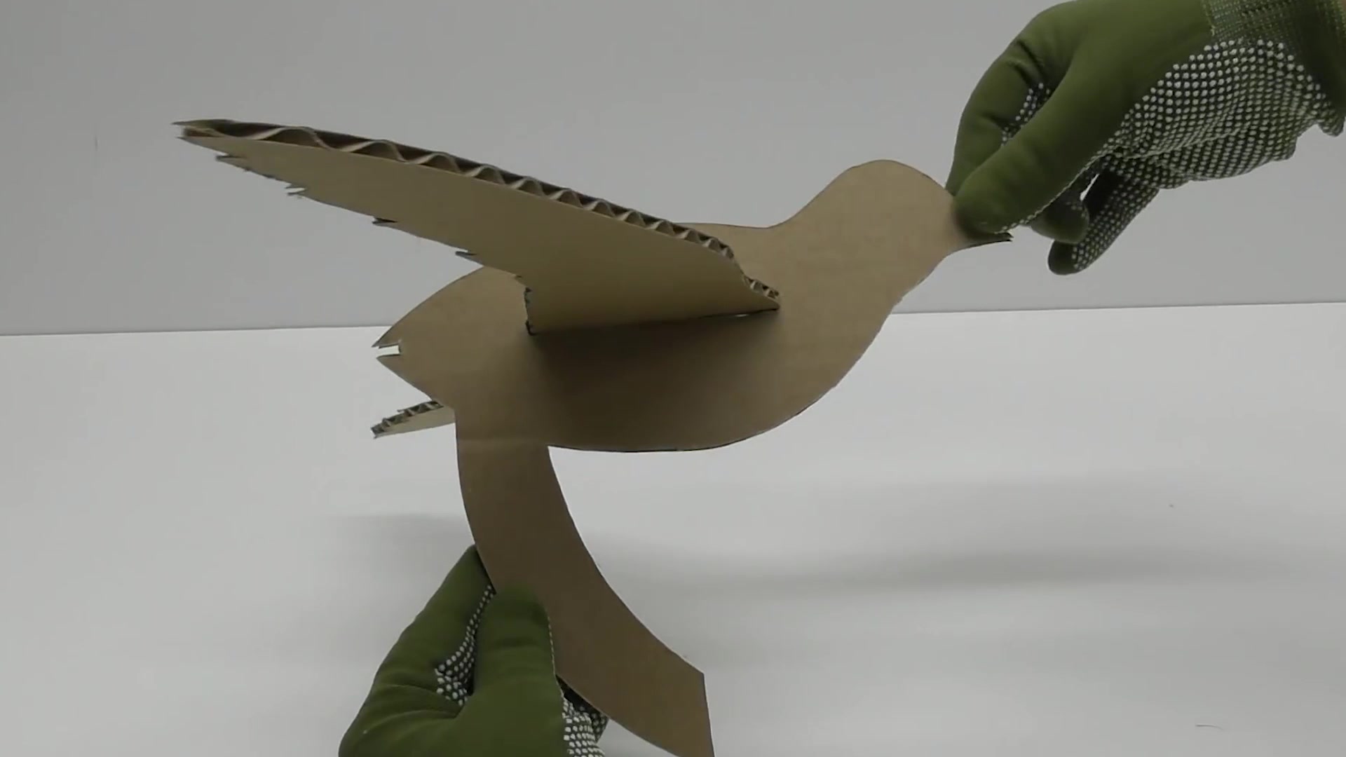 创客小制作:好神奇啊,纸板也能做一个会扇翅膀的鸟!