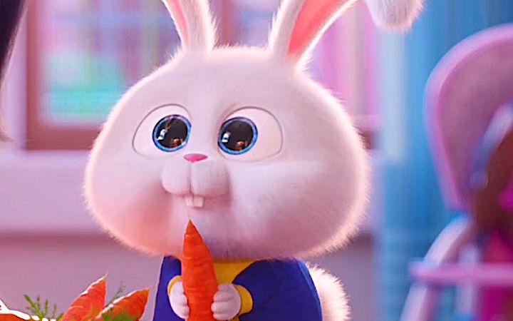 【爱宠大机密】听说你们都有第一个画面的表情包?