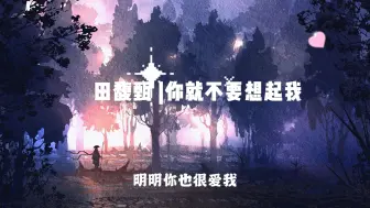 Descargar video: 田馥甄《你就不要想起我》——热门歌曲合集【无损音质】