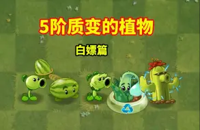 Descargar video: 植物大战僵尸2：盘点PVZ2中5阶质变的植物！（白嫖篇）