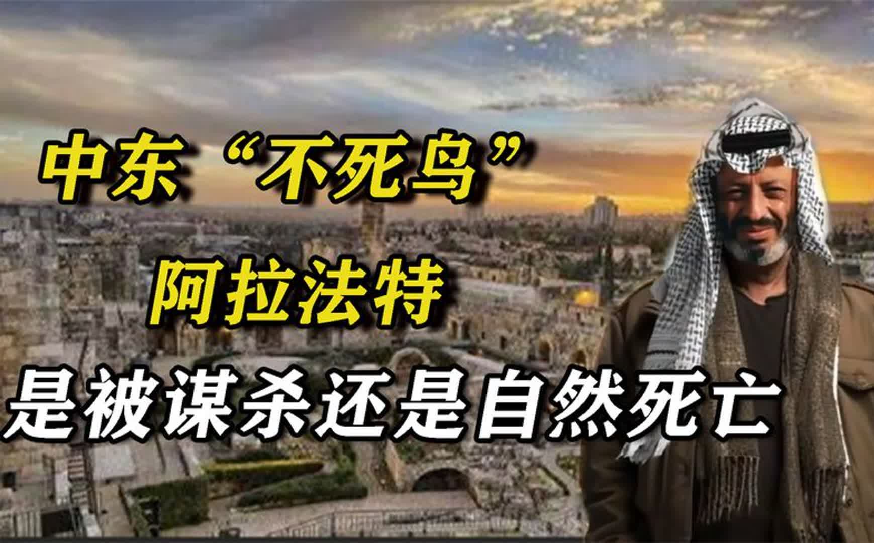 中东“不死鸟”阿拉法特,是被谋杀还是自然死亡?哔哩哔哩bilibili