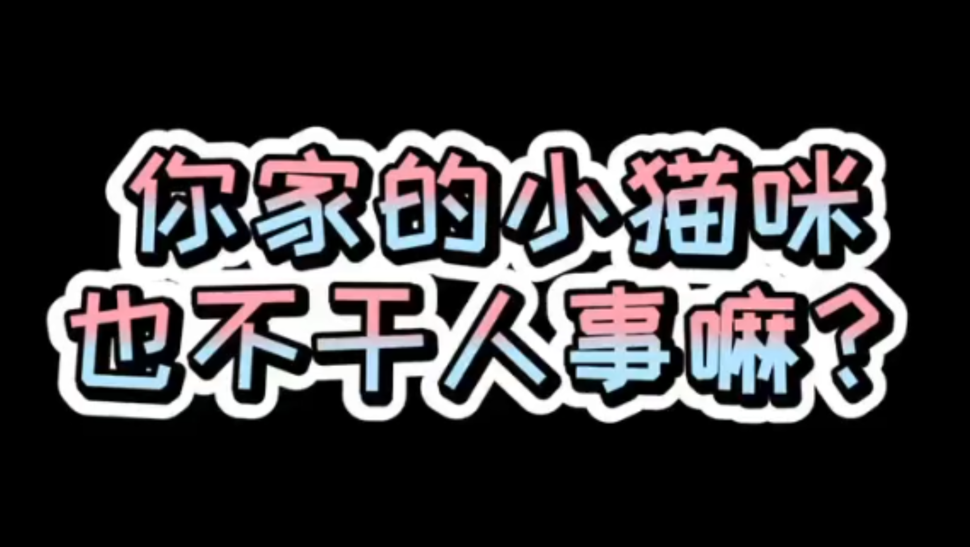 活动  你家的猫咪也不干人事嘛? 我的猫不干人事