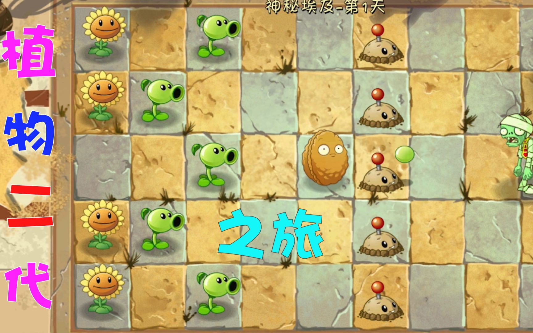 植物大战僵尸2:酷波二的二代之旅,会发生什么?PVZ