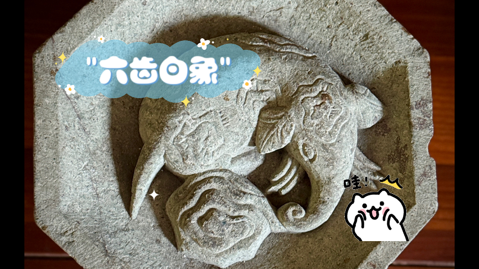 传说释迦牟尼佛从兜率天宫降生于人间时,乘的就是六牙白象.