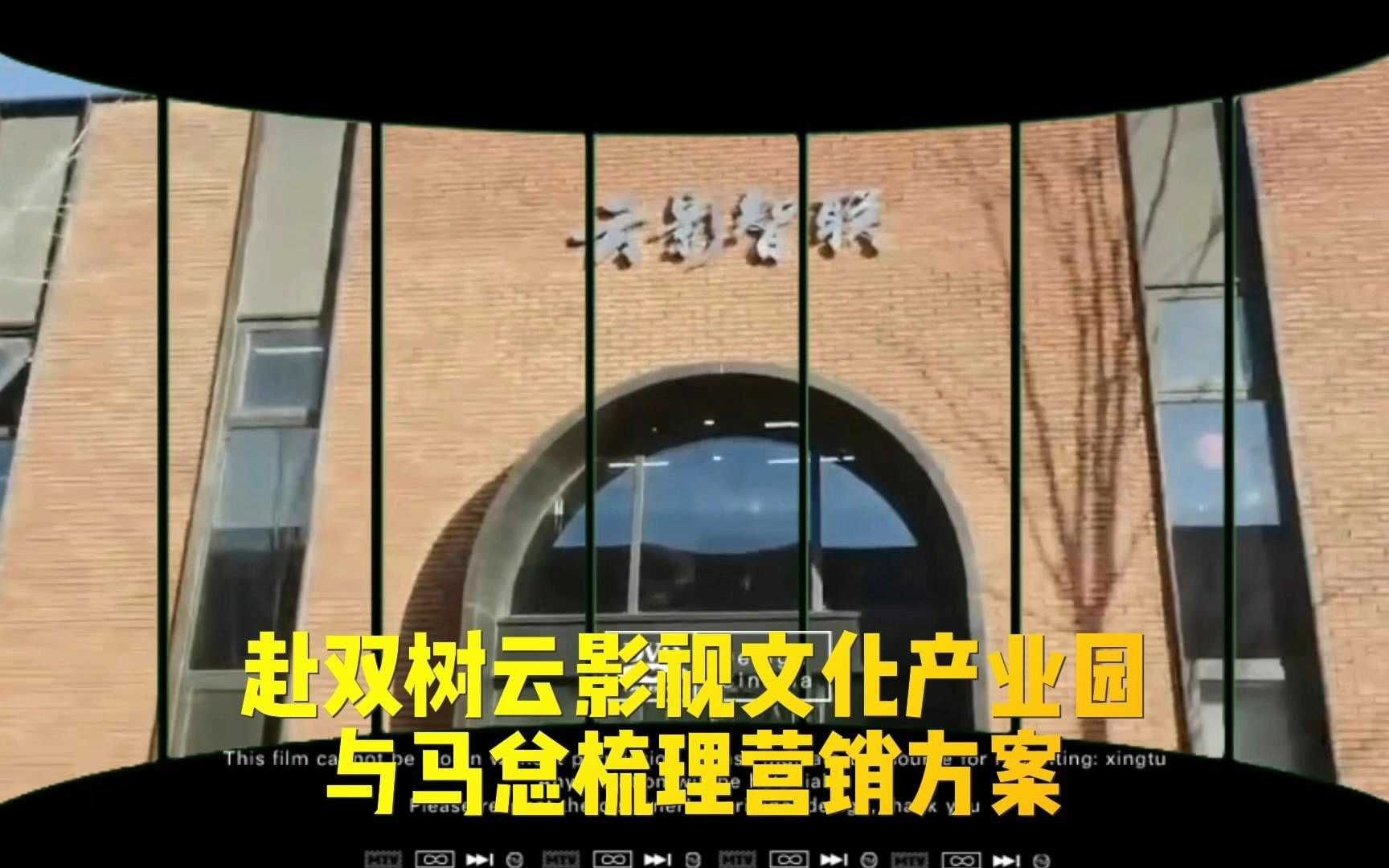 赴双树云影视文化产业园与马总梳理营销方案哔哩哔哩bilibili