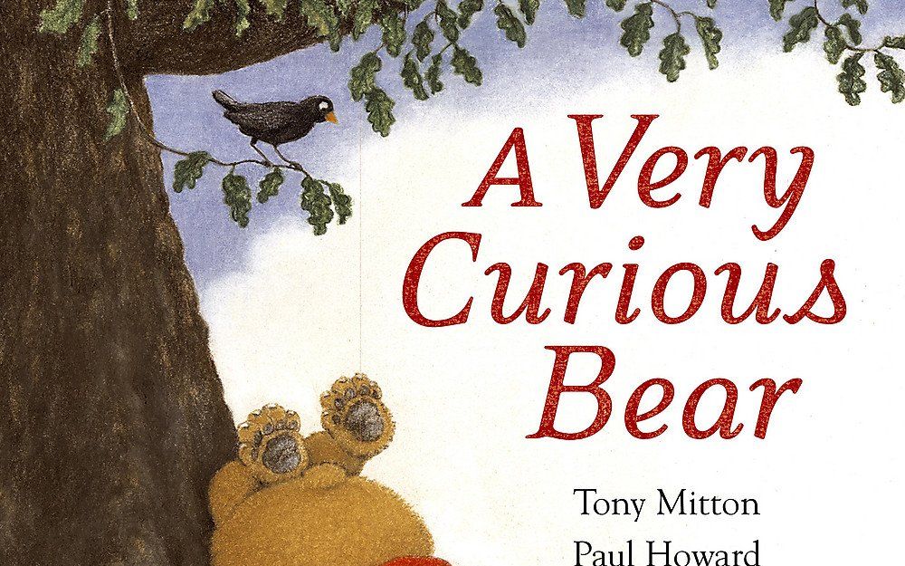 【英语】《好奇的小熊 A Very Curious Bear 》儿童英语故事哔哩哔哩bilibili