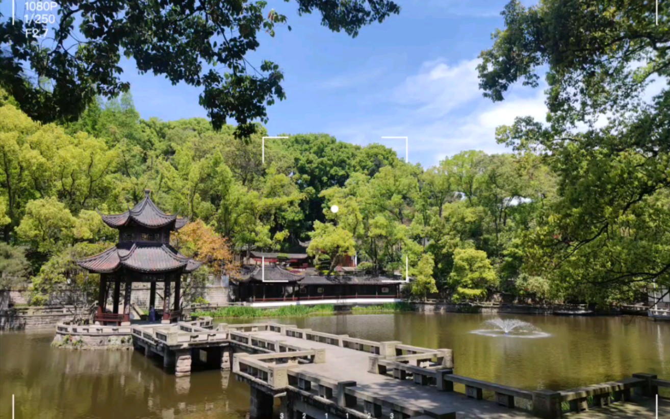 【忠山公園】清明