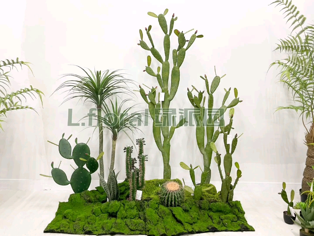 绿植小景观 绿植造景 仙人掌 仙人球 仙人掌小手高品质造景玄关客厅