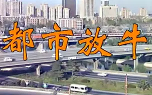 Download Video: 【怀旧】1995年《都市放牛》（王晓东，李艳秋，李玉峰，孟蕾，牛宝军）