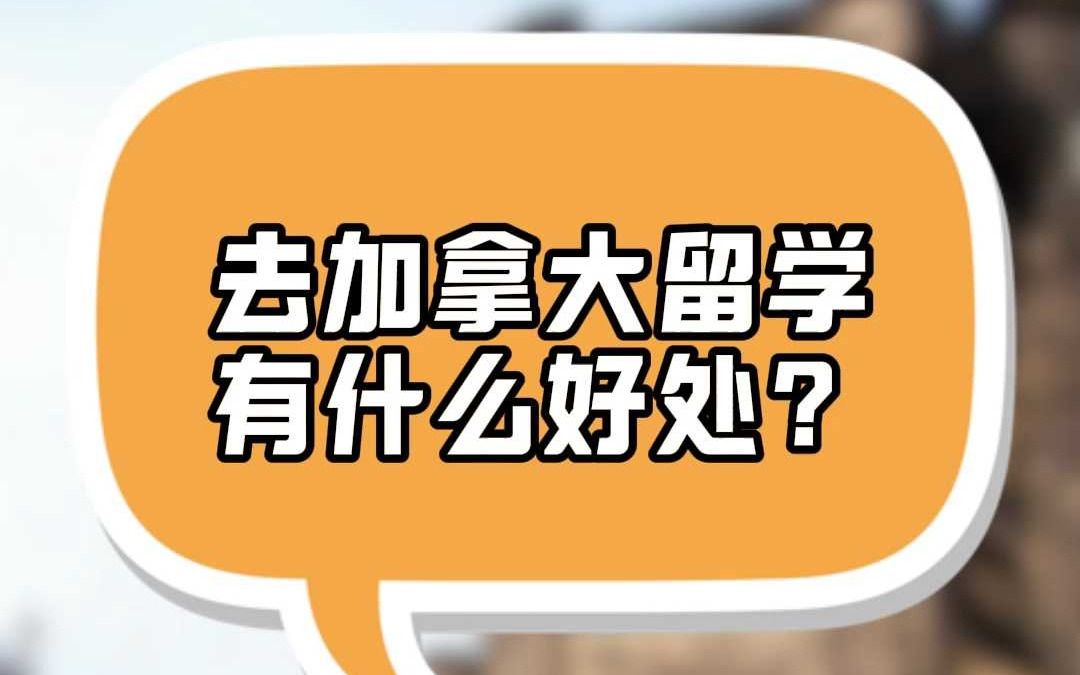 去加拿大留学有什么好处?哔哩哔哩bilibili