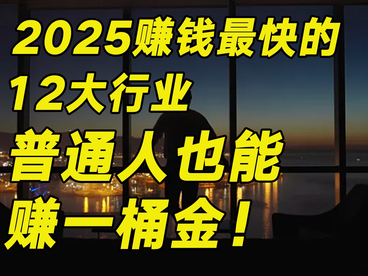 金融老司机深度揭秘2025年12个赚钱行业!普通人抓住一个就赚到……【毯叔盘钱】哔哩哔哩bilibili