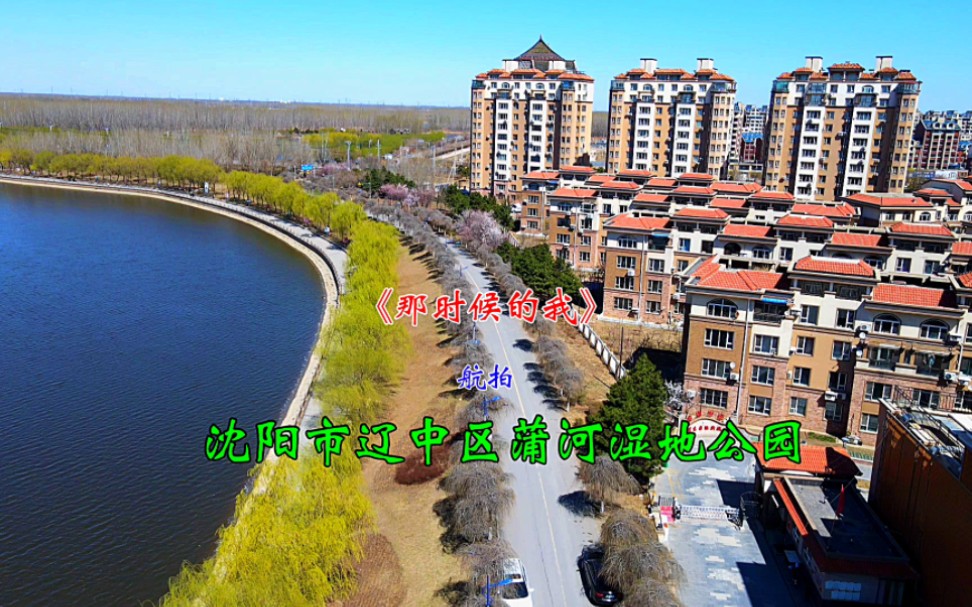 沈阳市辽中区蒲河湿地公园.大江航拍.哔哩哔哩bilibili