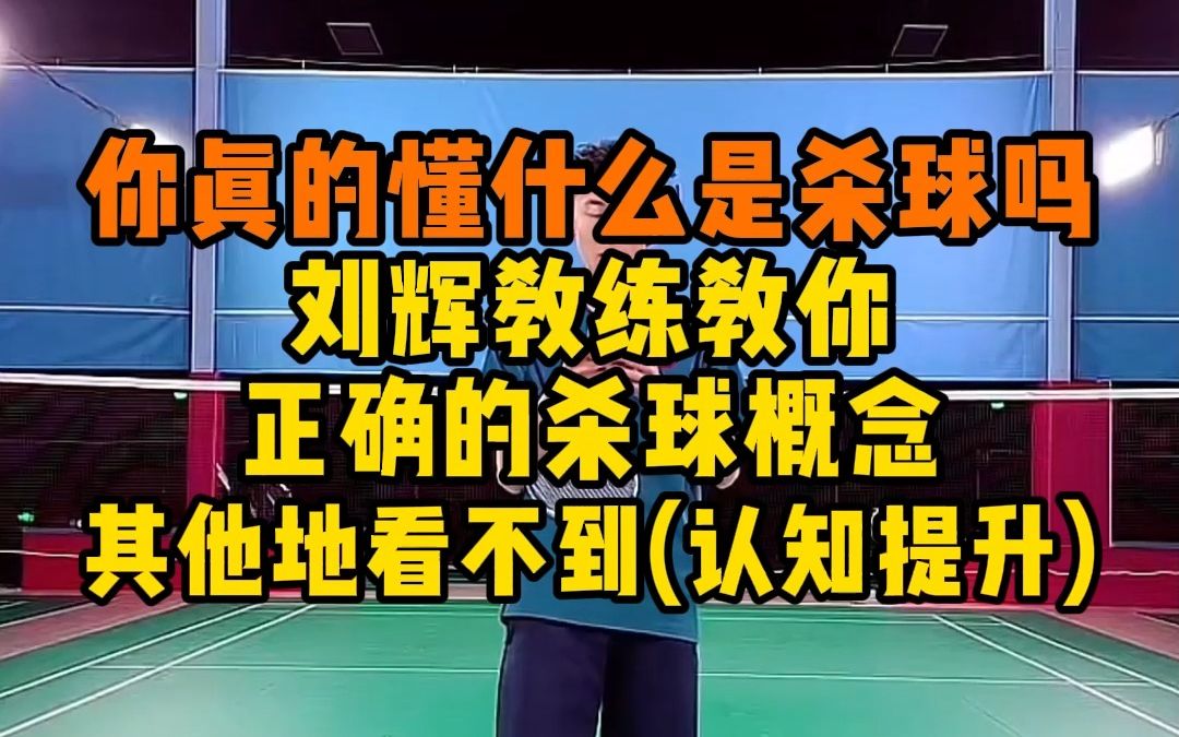 杀球杀不好可能是因为你没搞懂什么是杀球?刘辉教练教你正确的杀球概念 看懂后再去试试杀球 猛一倍不止哔哩哔哩bilibili