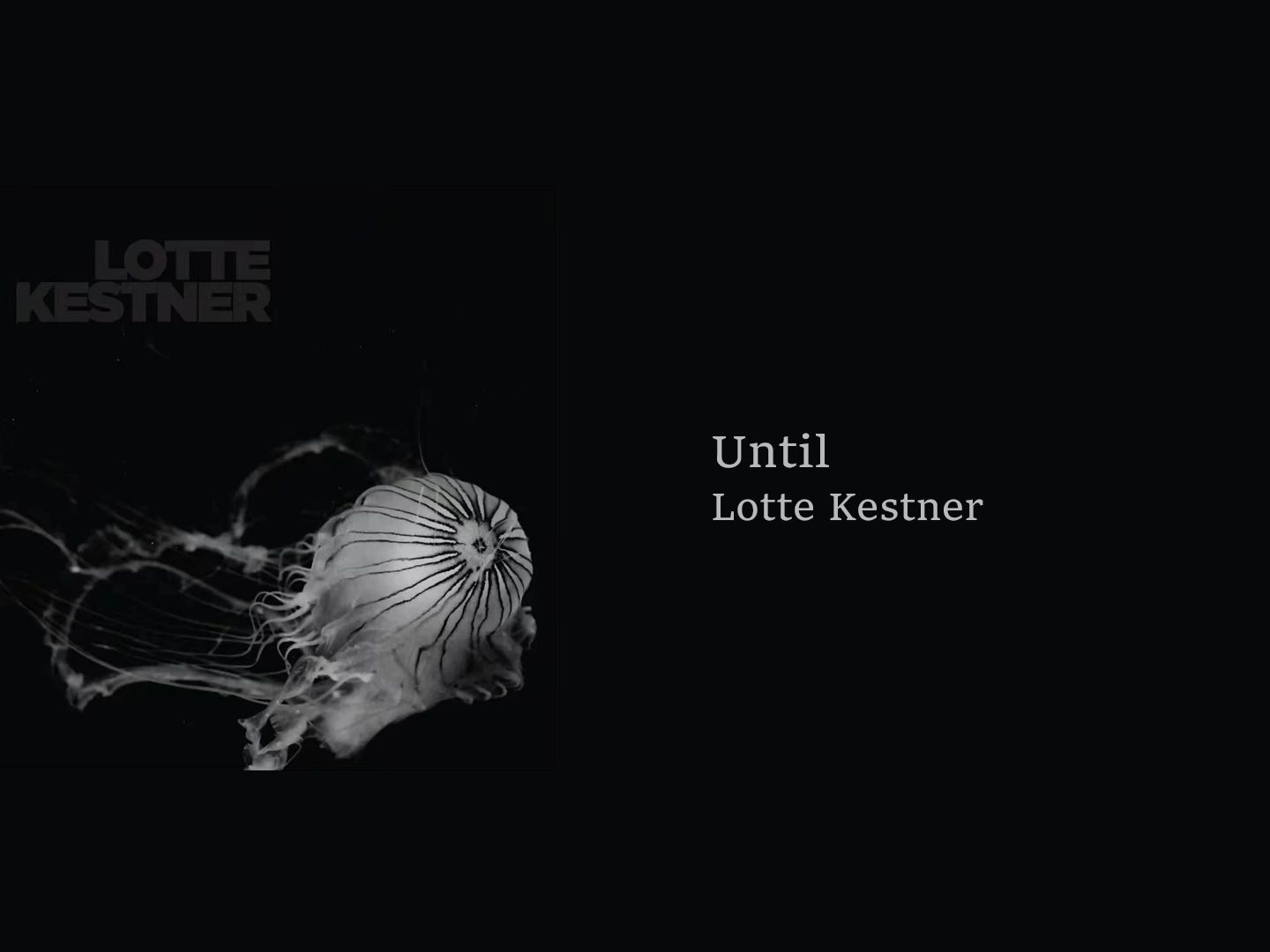 我喜欢的音乐日推 | until - lotte kestner