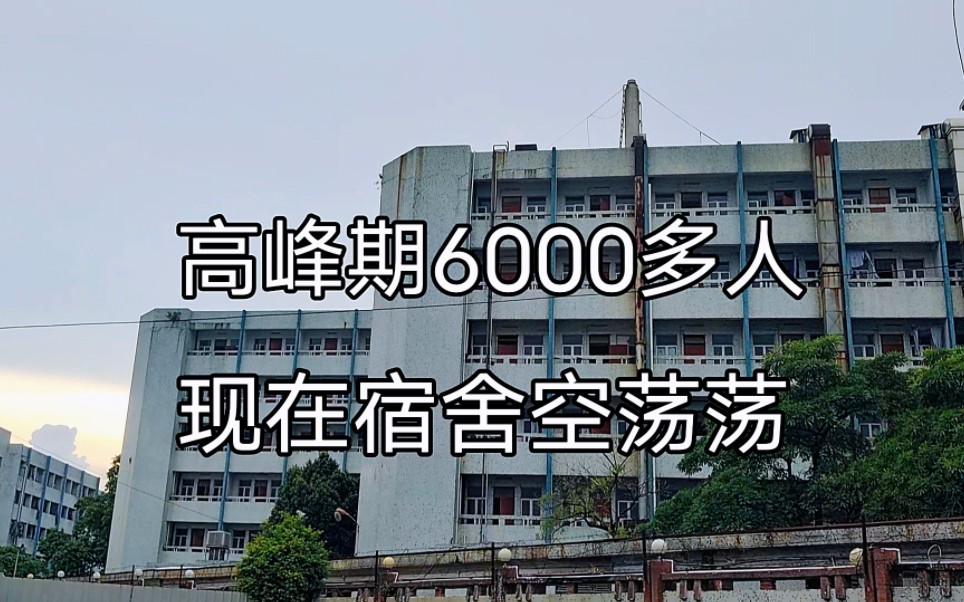 东莞桥头百德针织厂,10几栋宿舍高峰期6000多人,现在变成了这样哔哩哔哩bilibili