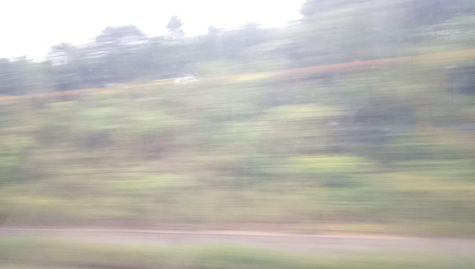 『随手一拍』早晨七点