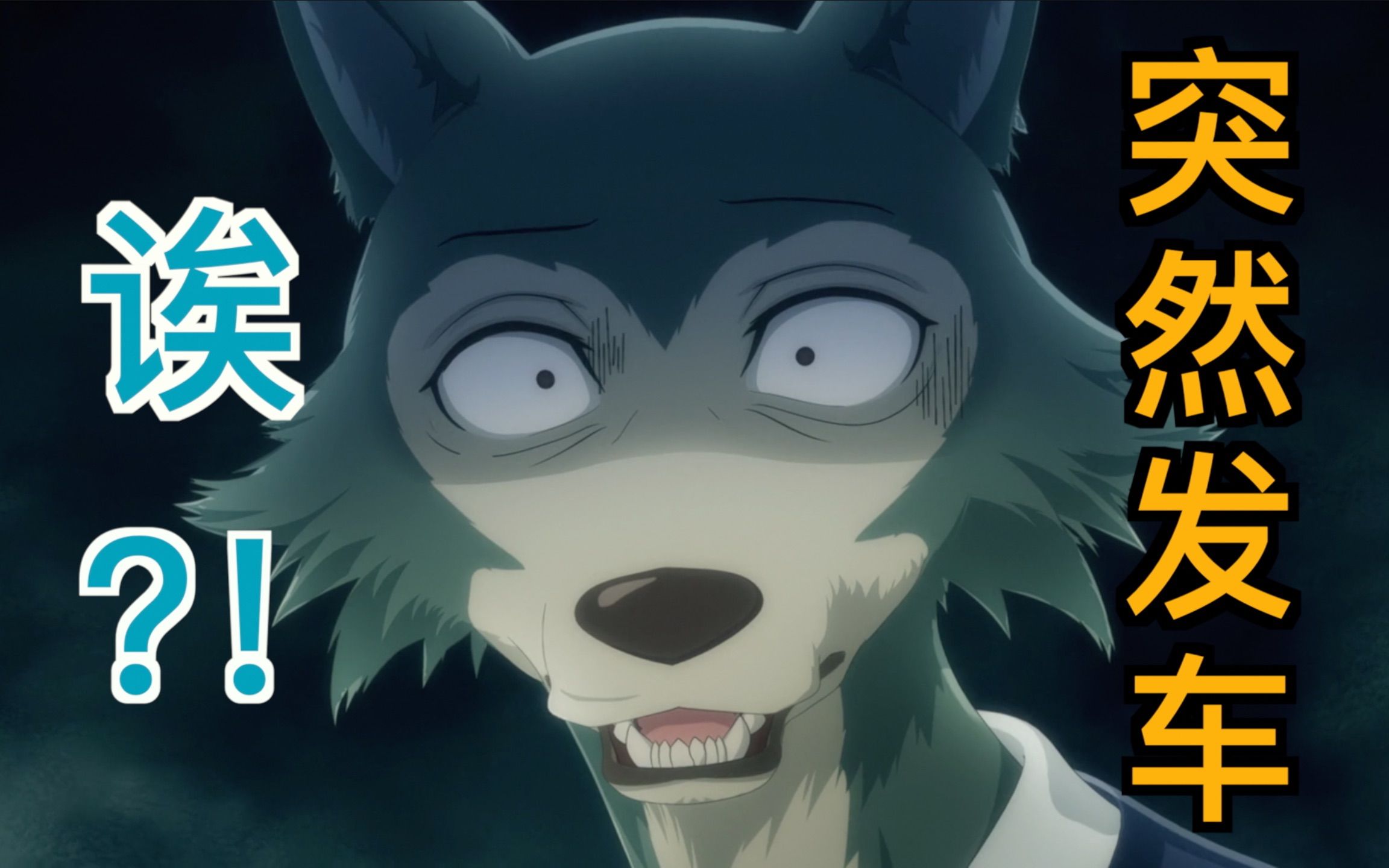 动物狂想曲快停车这不是开往动物园的车