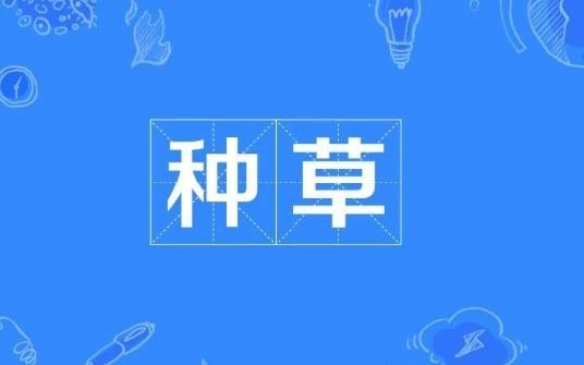 种草什么意思呢?哔哩哔哩bilibili