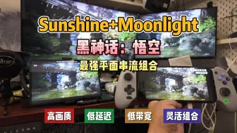 Download Video: Sunshine+Moonlight 黑神话悟空 最佳串流组合