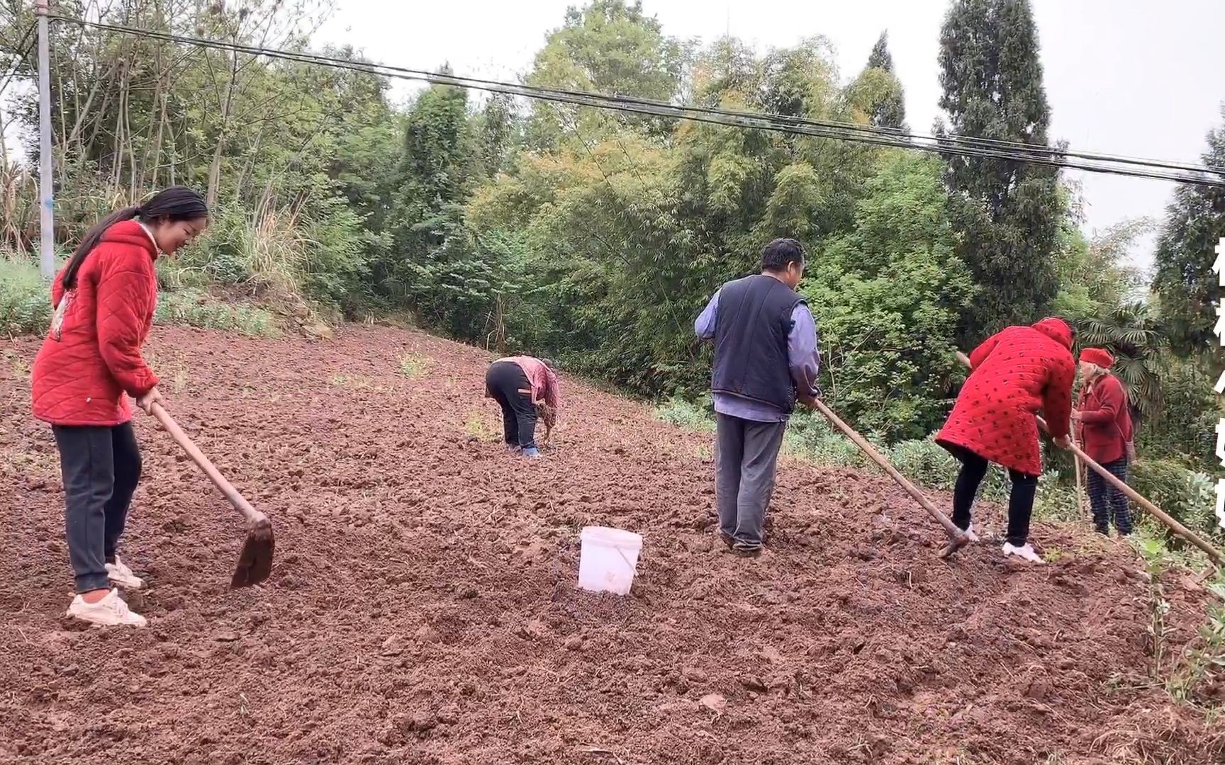 农民种地都是靠天吃饭,好不容易下一场雨,淋着雨也要把花生种完哔哩哔哩bilibili