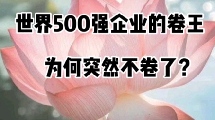 震惊!世界500强企业的卷王,为何突然不卷了?哔哩哔哩bilibili