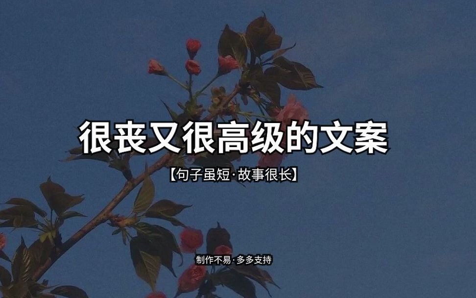 很丧又很高级的文案哔哩哔哩bilibili