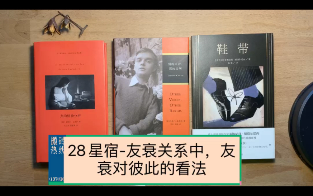 「星宿塔罗」28星宿友衰关系中,友衰对彼此的看法?哔哩哔哩bilibili