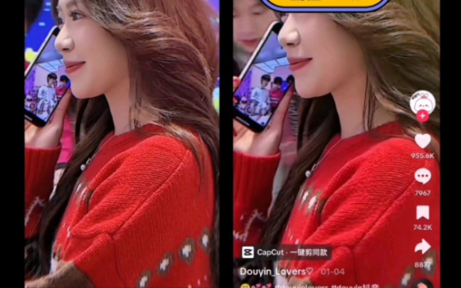 1月份tiktok中国相关视频点赞量前十