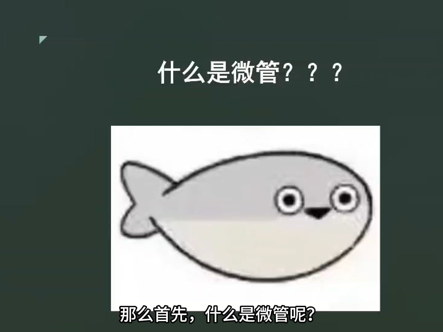 细胞生物学小组作业,微管的组装与去组装,别赞,快走.哔哩哔哩bilibili