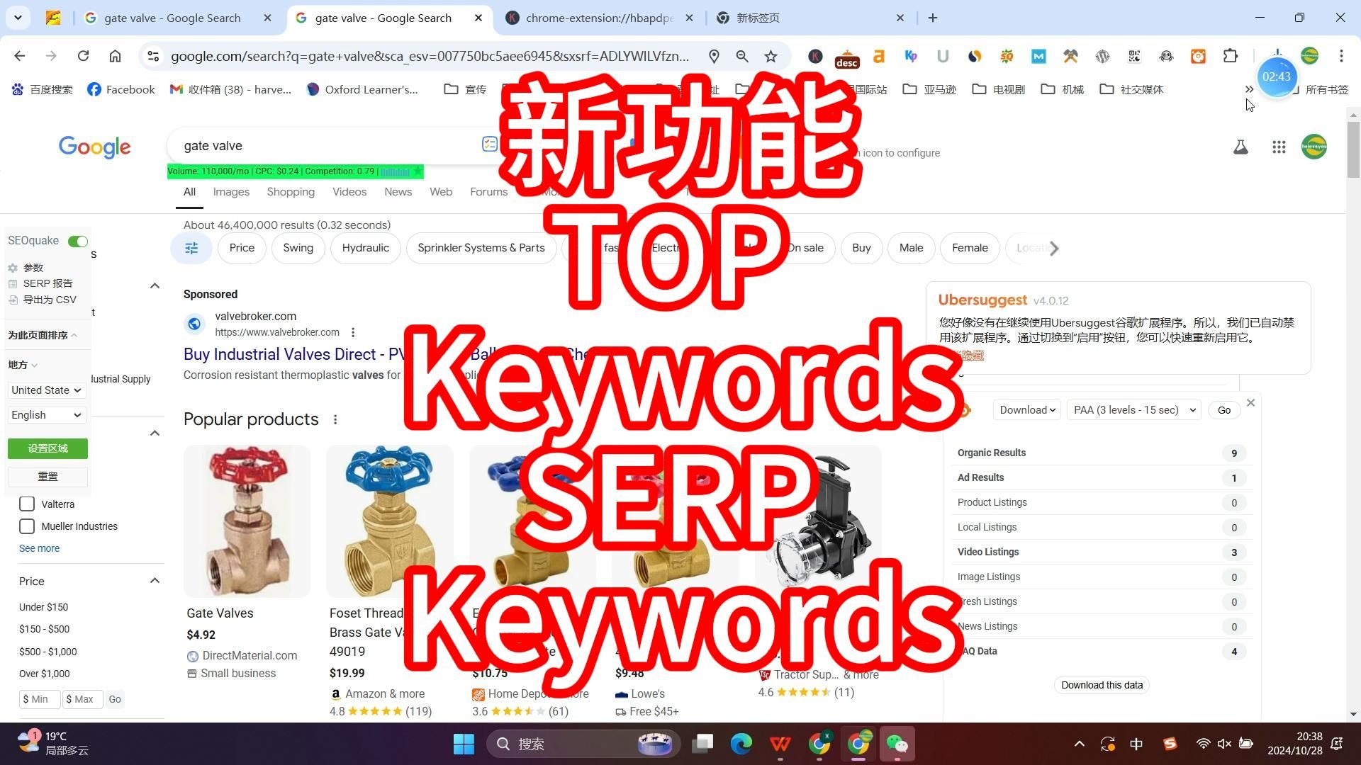 如何获取TOP Keywords, SERP Keywords哔哩哔哩bilibili