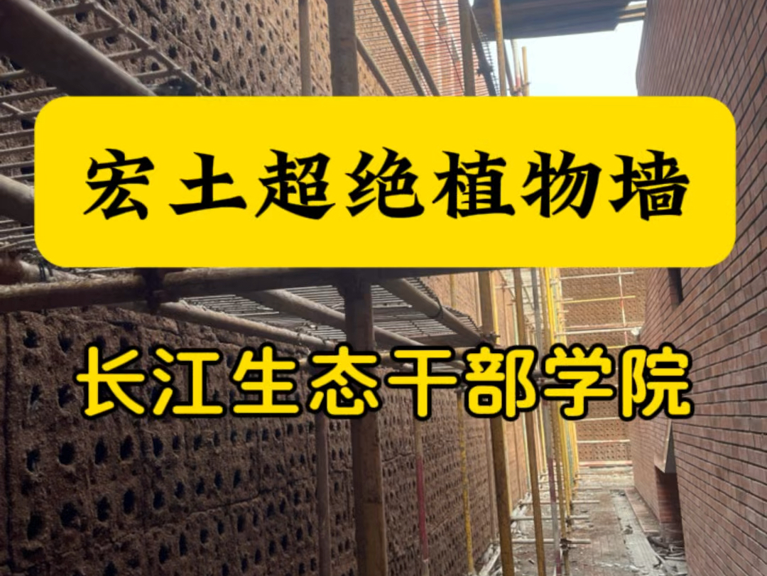 长江生态干部学院,宏土铺贴工艺,建筑与植物的完美结合,打造自然之美.#生态修复 #固化纤维土 #护坡绿化 #边坡绿化 #植物墙哔哩哔哩bilibili