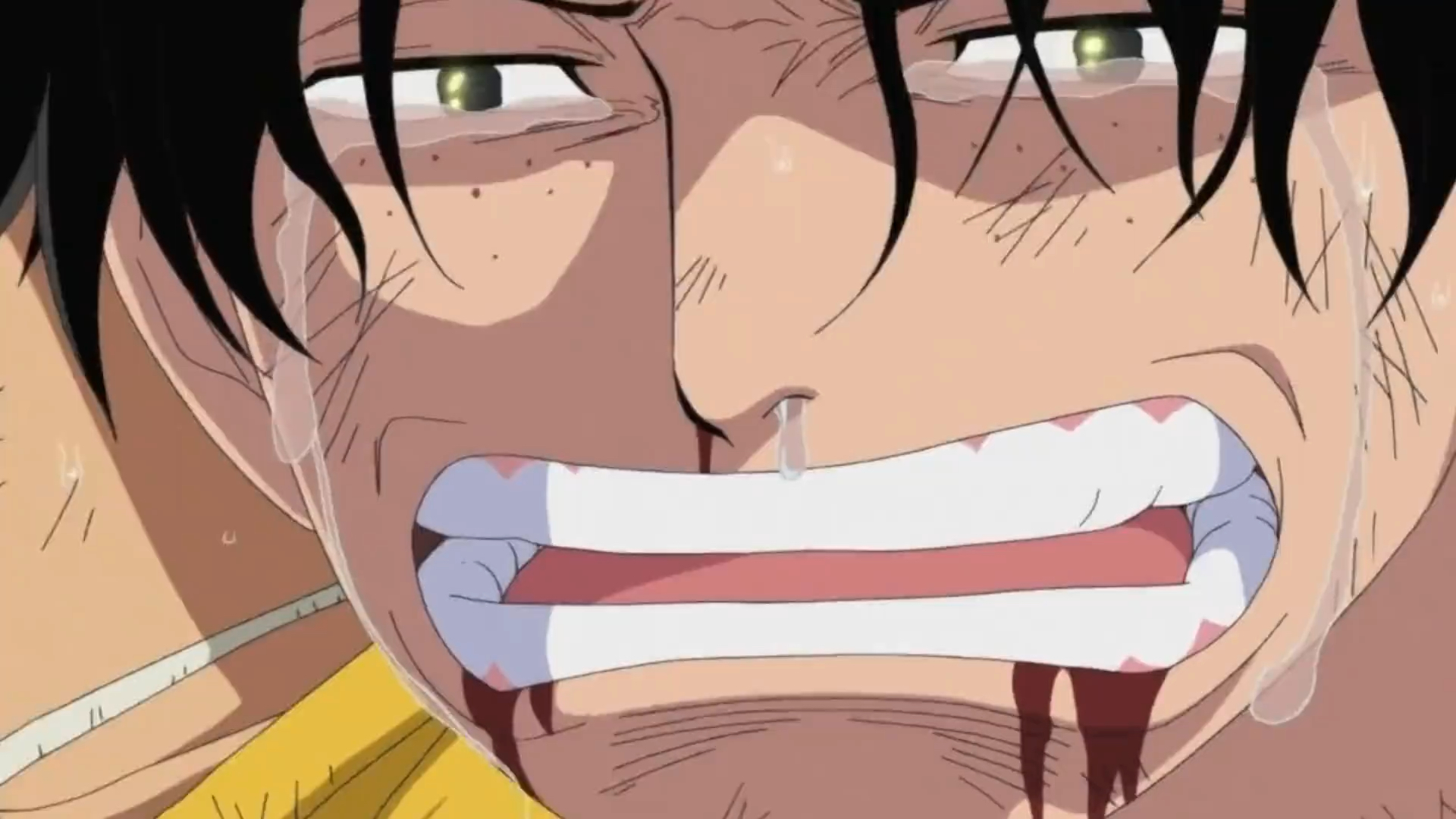 艾斯,白胡子战死!路飞陷入崩溃状态!