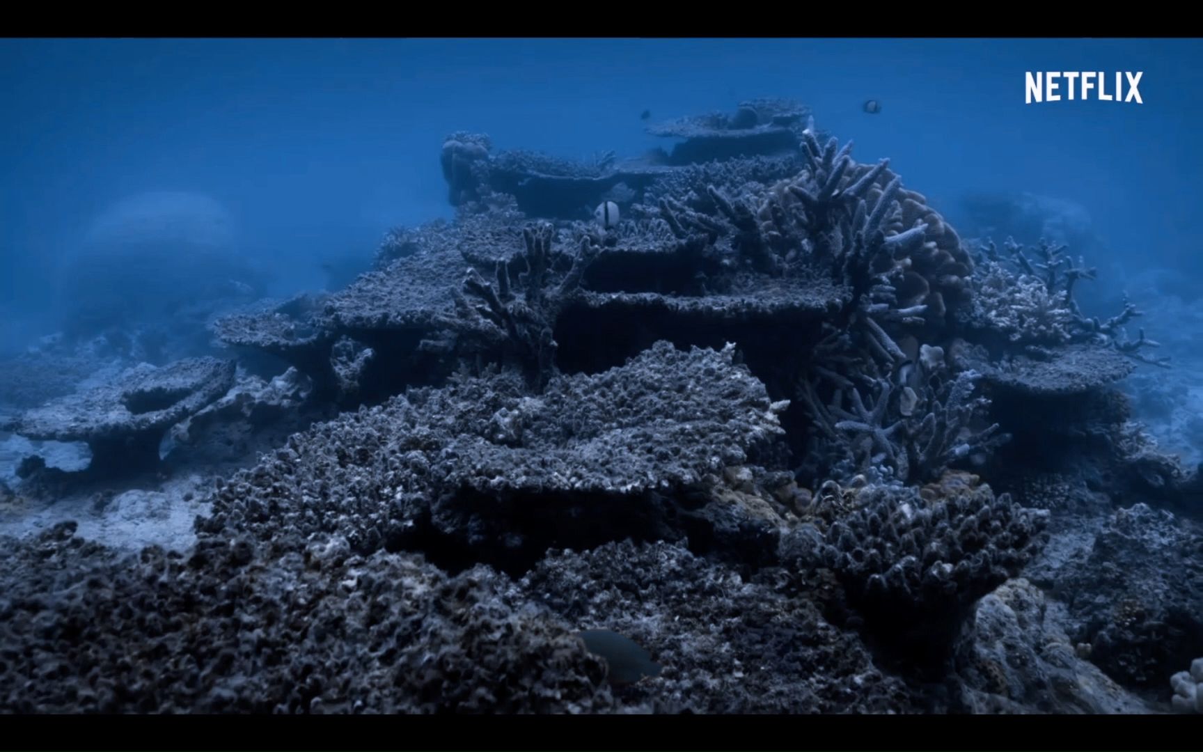 大堡礁浮潜视频