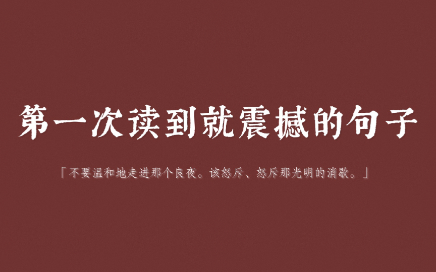 “不要温和地走进那个良夜.该怒斥、怒斥那光明的消歇.”|那些第一次读到就震撼到句子哔哩哔哩bilibili