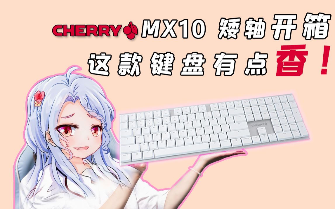 这款键盘有点香!樱桃CHERRY MX10 矮轴开箱哔哩哔哩bilibili