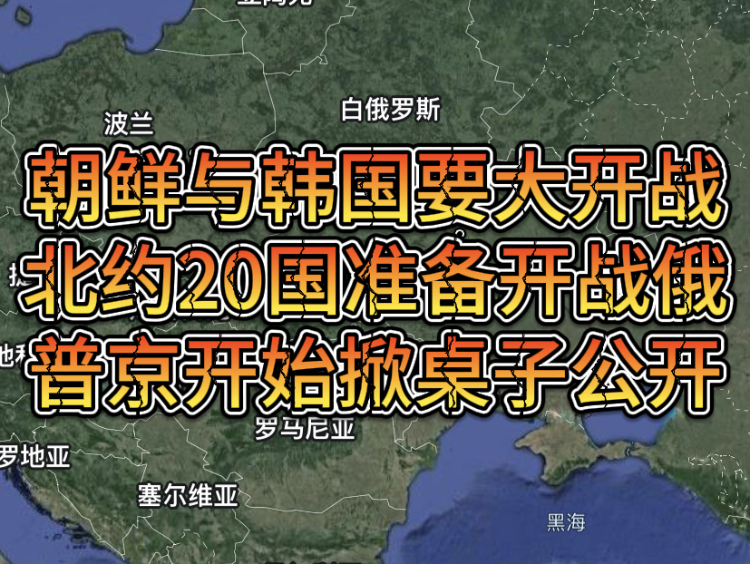 朝鲜与韩国要大开战,北约20国准备开战俄,普京开始掀桌子哔哩哔哩bilibili