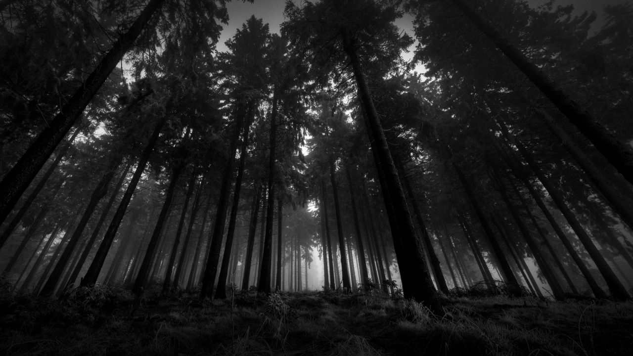 [osu!]黑森林主难初见