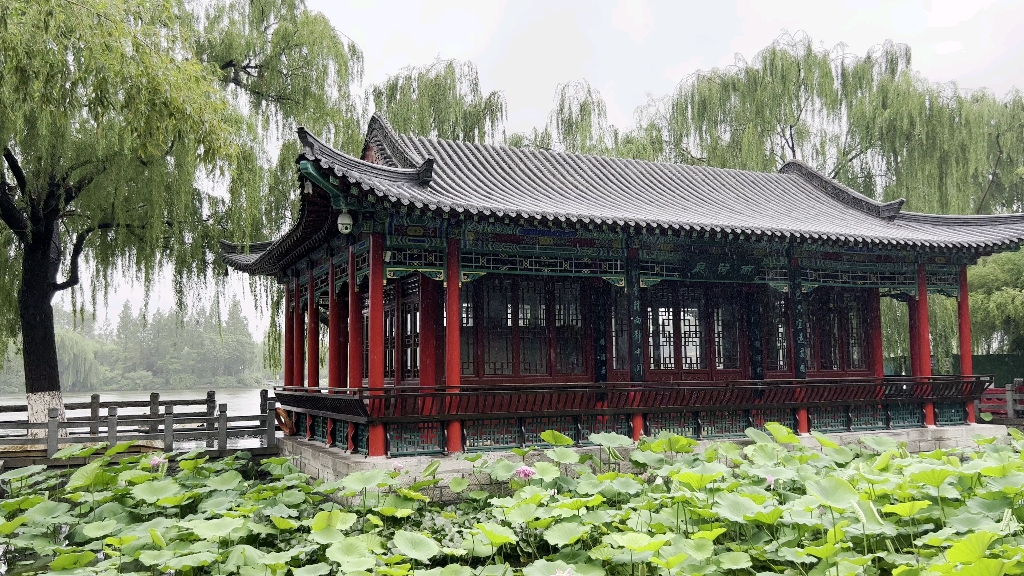 大明湖畔雨荷厅——风声雨声鸟鸣声,声声醉耳