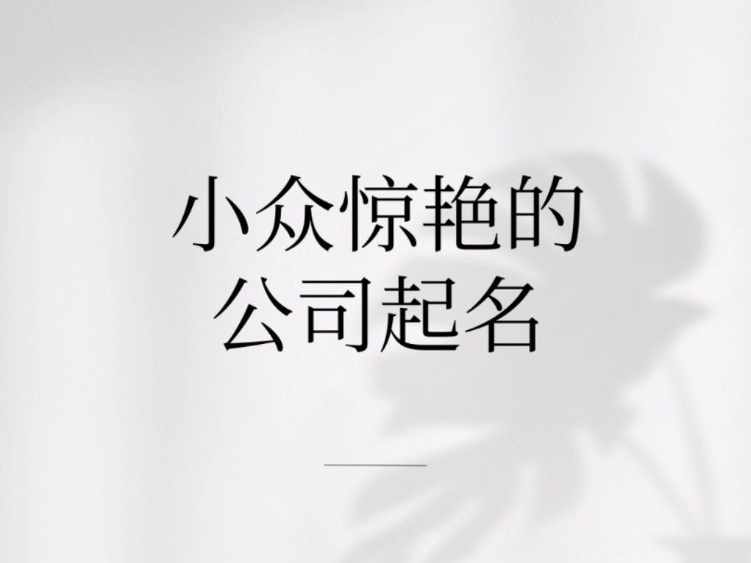 小众惊艳的公司起名哔哩哔哩bilibili