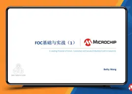 Download Video: FOC基础与实战培训教程