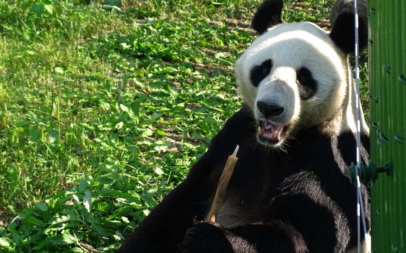 我是浦浦,我好棒啊!