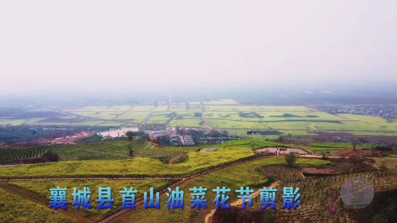 襄城县2020年首山油菜花节